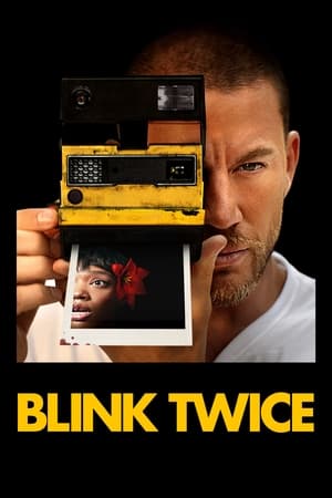 Blink Twice 2024 Hindi Dual Audio HDRip 1080p – 720p – 480p